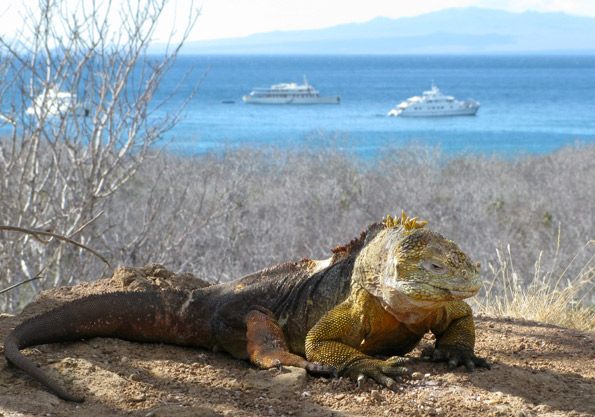 luxury Galapagos tours