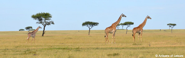Exclusive safari tours in Kenya & Tanzania