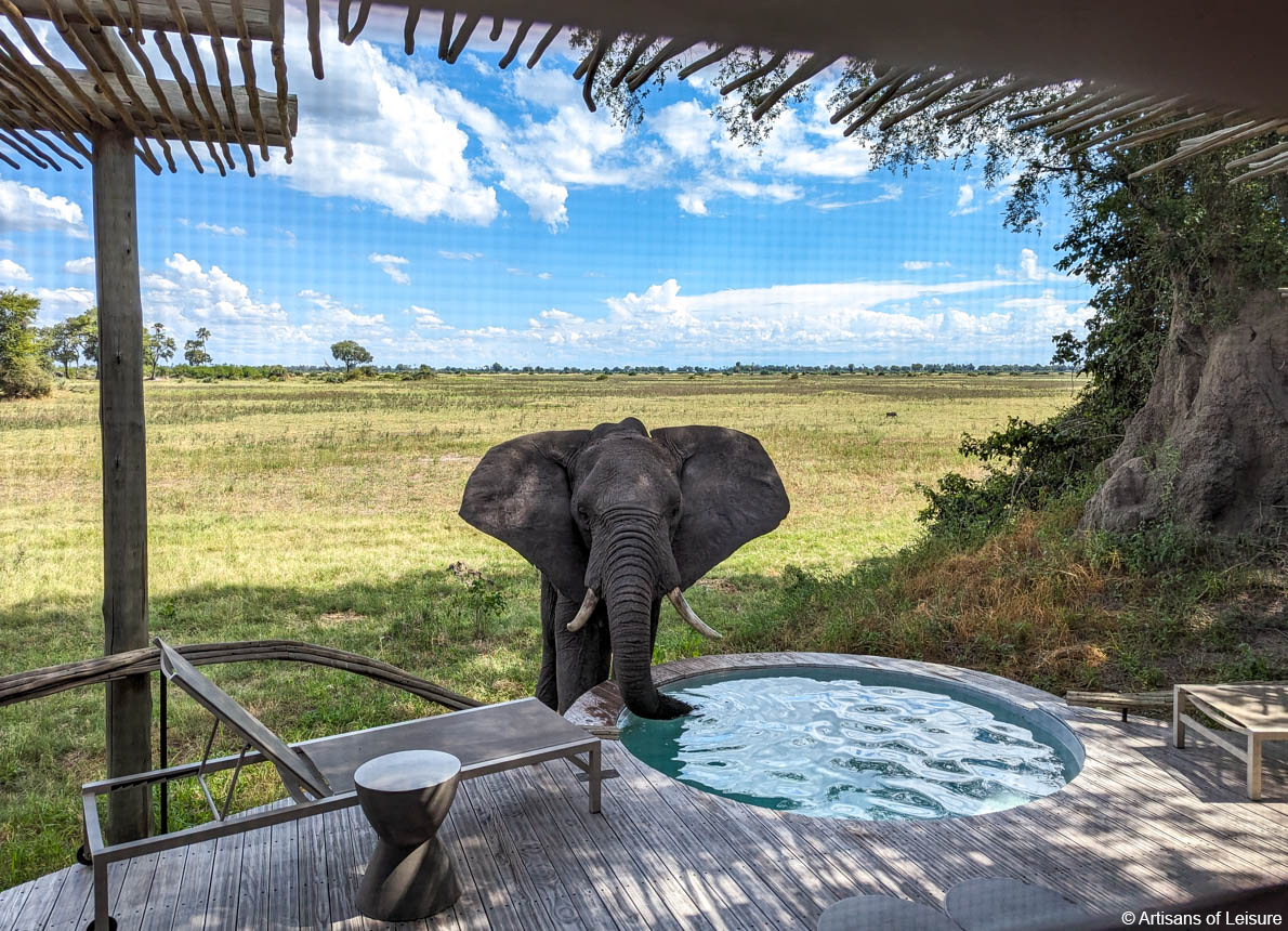 Botswana offers the ultimate luxury safari experience