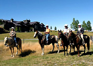 The group riding horses in New Zealand