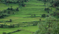 Hiking in Bhutan