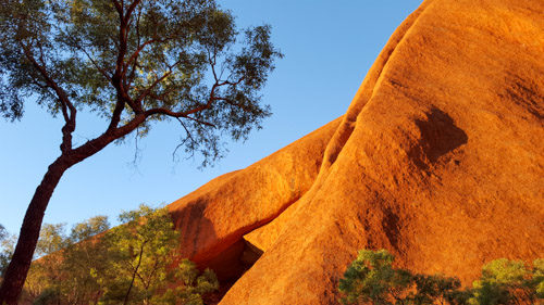 Uluru tours