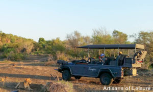 luxury safaris Africa