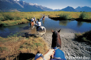 luxury New Zealand tours