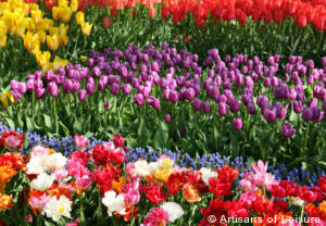 Keukenhof tours Amsterdam