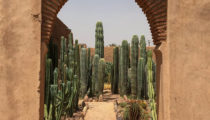 The Beautiful Gardens of Marrakesh