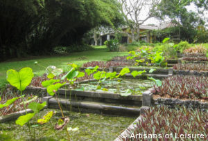 luxury Sri Lanka tours - Brief garden