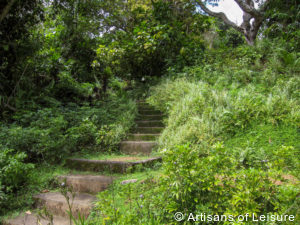 luxury Sri Lanka tours