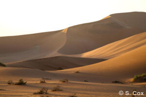 luxury Namibia safaris tours