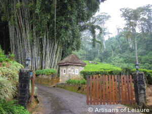 luxury Sri Lanka tours