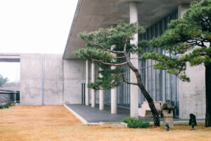 private South Korea architecture tours Jeju Island