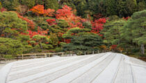 Just Back: An Autumn Visit to Japan