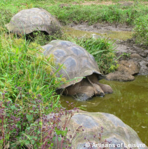 luxury Galapagos tours