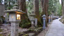 Stay Overnight at a Temple Lodge on Mount Koya, Japan