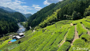 private Japan tours