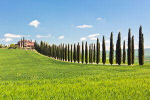 luxury Tuscany tours