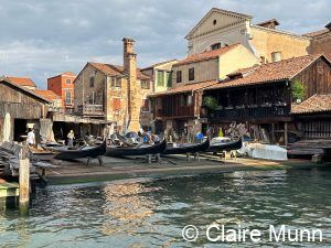 Highlights of Venice