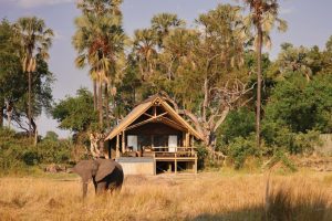 luxury Okavango Delta safari lodges