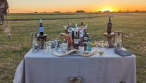 Must Experience: Sundowners on Safari in Africa