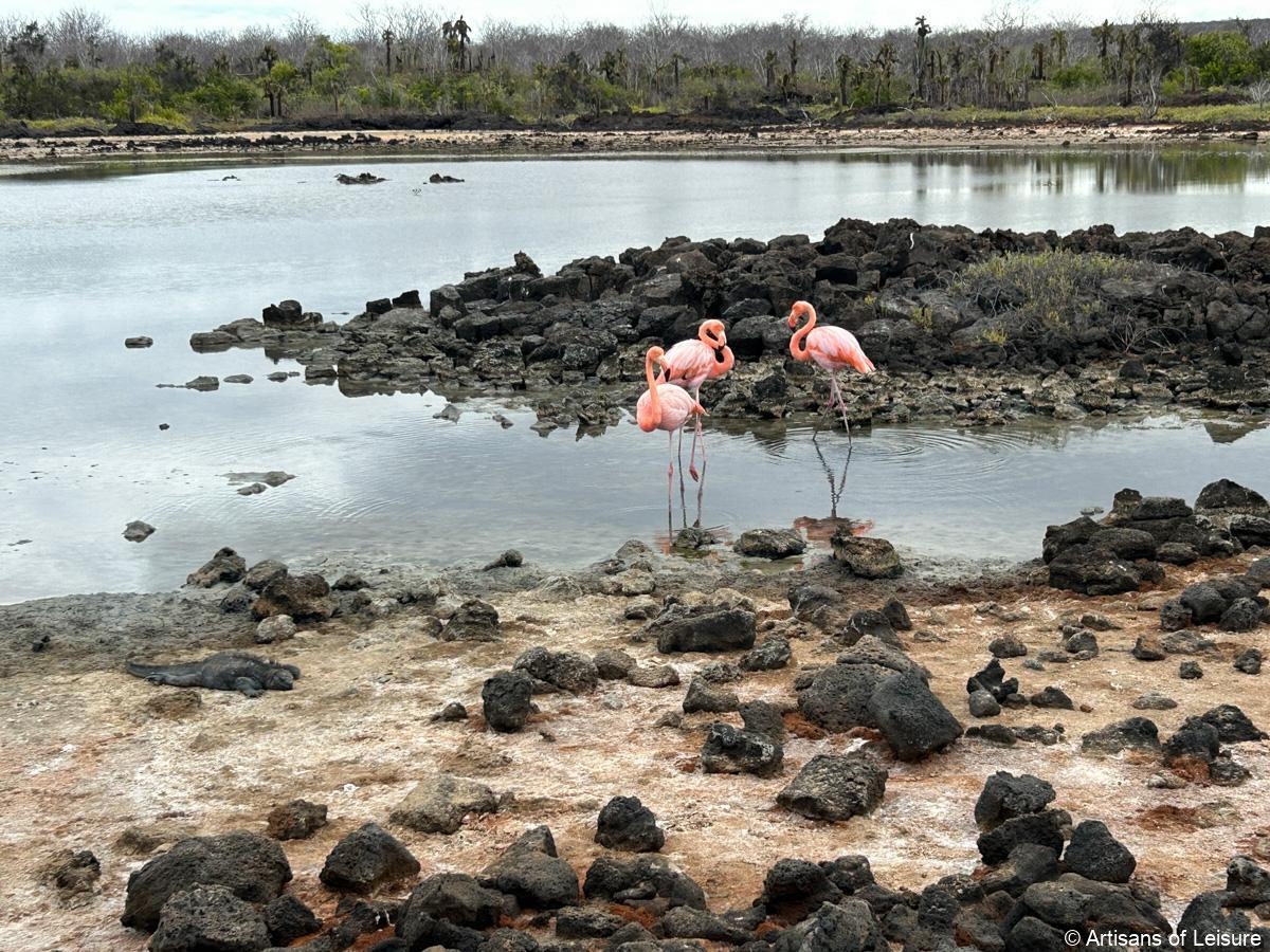 Galapagos Islands