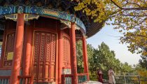 Favorite Travel Highlights in Beijing and Shanghai, China